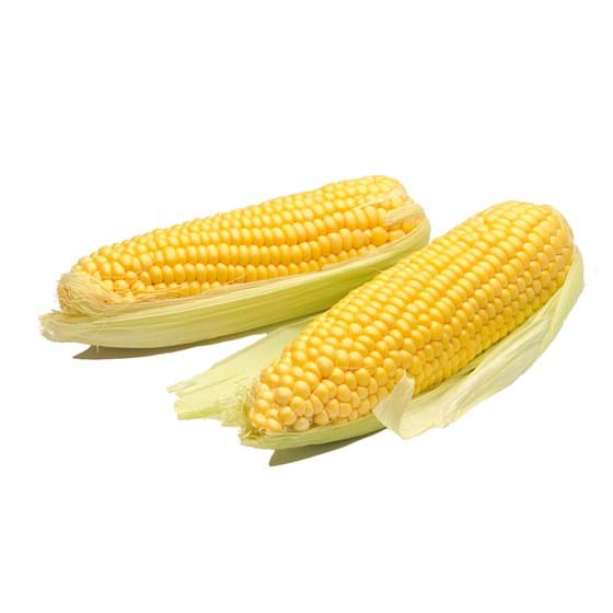 Sweet corn Product photo