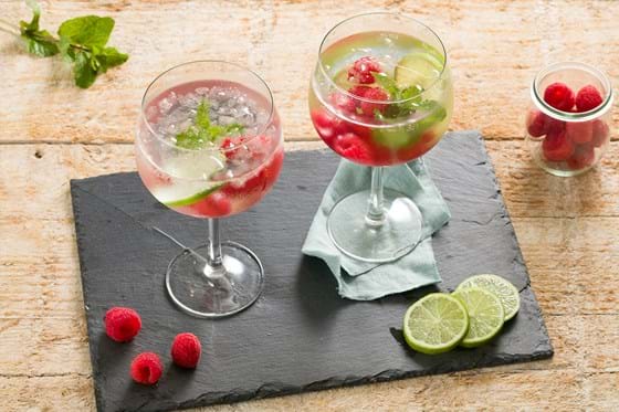 Gin and tonic with raspberries                                                                                            