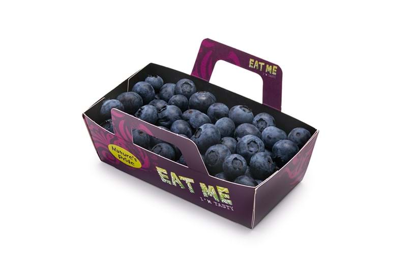 EAT ME Blueberry Cardboard Boat