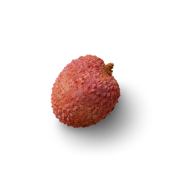 Lychee loose Topview