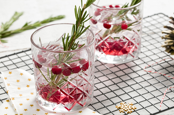 Cranberry Gin Tonic