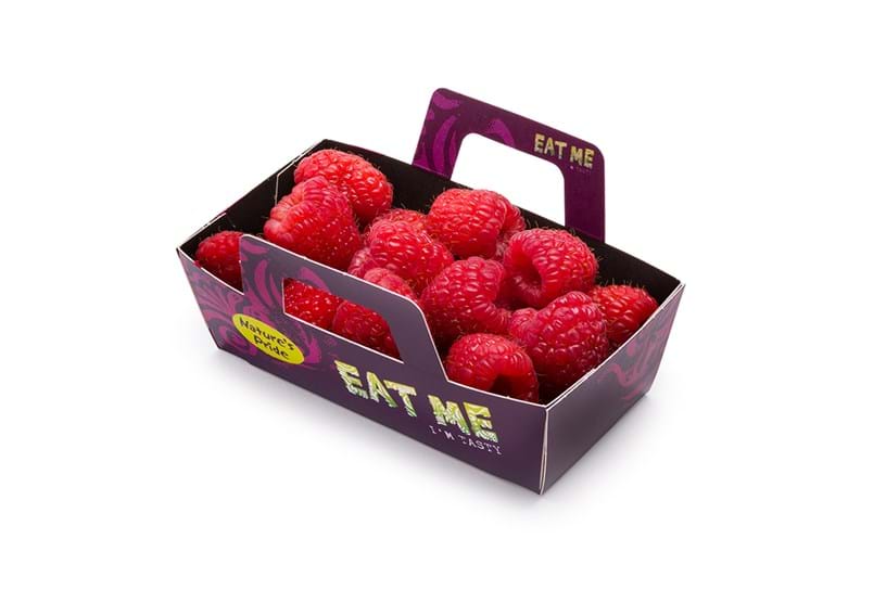 EAT ME Raspberry Cardboard Box