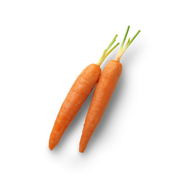 Mini Carrot Draufsicht