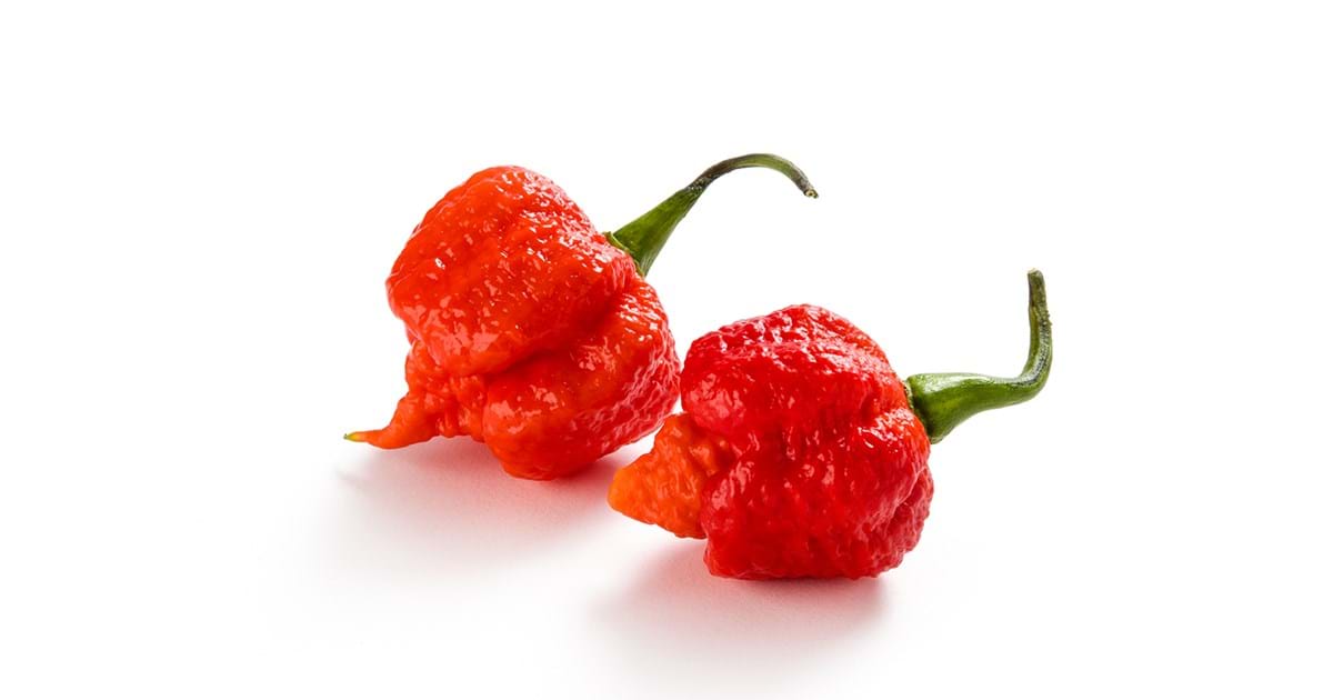 Carolina Reaper is the world 's hottest chilli – EAT ME
