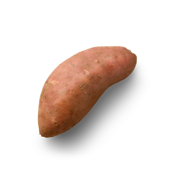 Sweet Potato Topview