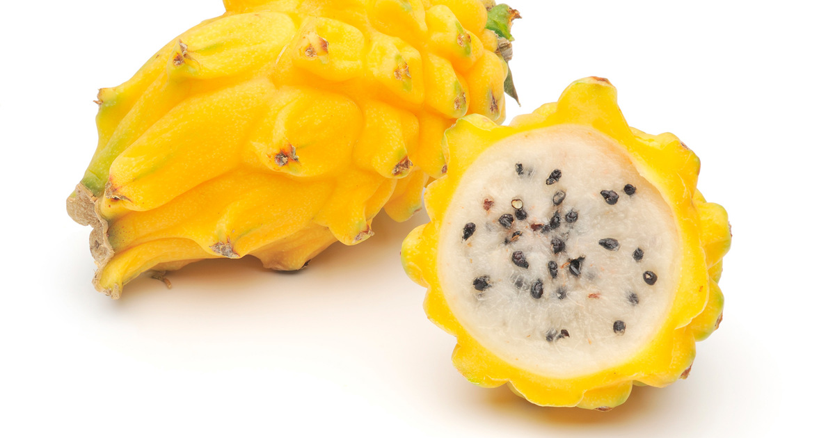 Gelbe Drachenfrucht: s, sommerlich und exotisch  EAT ME - EAT ME