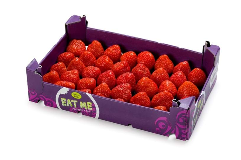 EAT ME Erdbeer-Box 1Kg