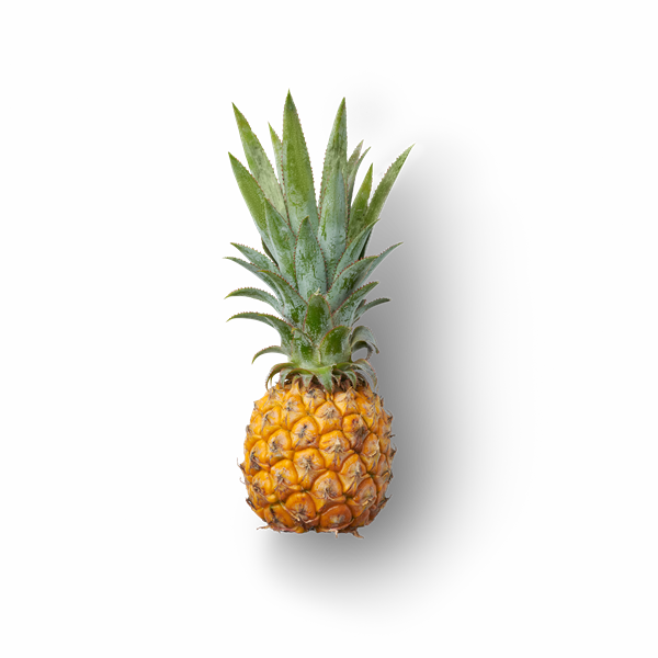 Pineapple Topview